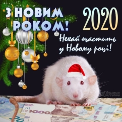 С Новым годом Белой Крысы 2020: СМС-поздравления на украинском языке -  Телеграф